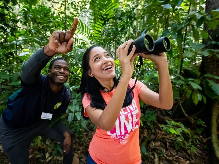st-lucia-rainforest-adventures_tours
